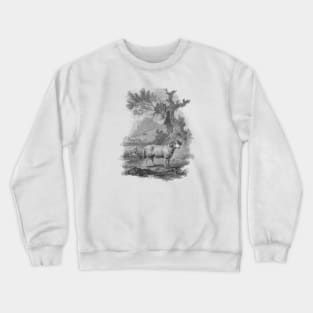 Ram in The Landscape, Vintage Farm Animal Illustration Crewneck Sweatshirt